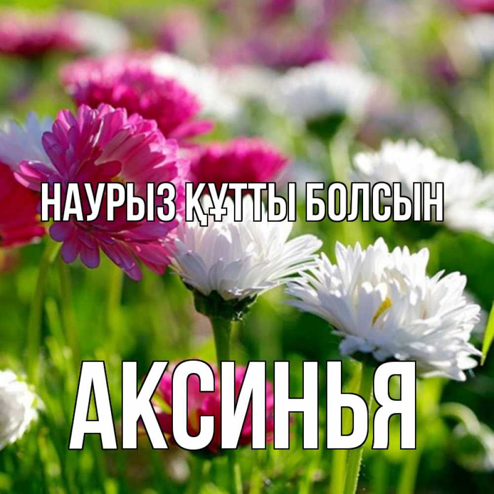 Открытка на каждый день с именем, Аксинья Наурыз құтты болсын наурыз Прикольная открытка с пожеланием онлайн скачать бесплатно 