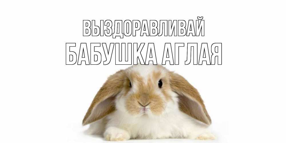 Открытка на каждый день с именем, Бабушка-Аглая Выздоравливай вислоухий кролик белого и коричневого цвета Прикольная открытка с пожеланием онлайн скачать бесплатно 