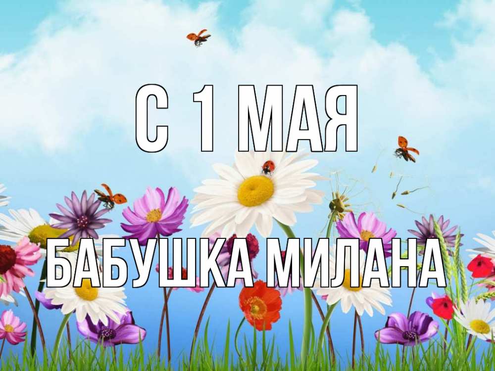 Открытка на каждый день с именем, Бабушка-Милана С 1 мая С 1 мая Прикольная открытка с пожеланием онлайн скачать бесплатно 