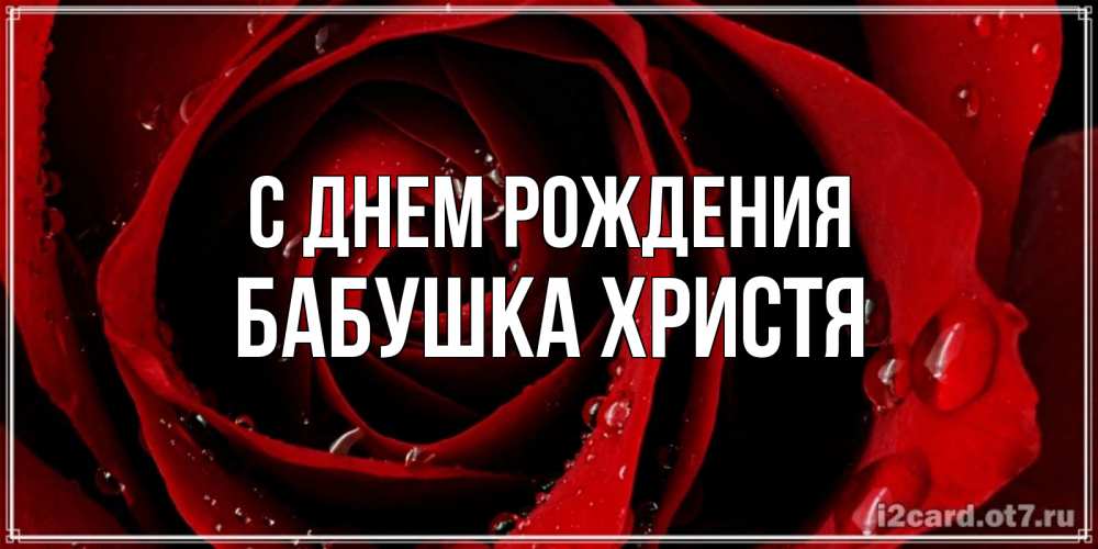 Открытка на каждый день с именем, Бабушка-Христя С днем рождения крупная бордовая роза Прикольная открытка с пожеланием онлайн скачать бесплатно 
