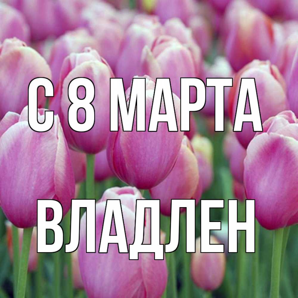 Открытка на каждый день с именем, Владлен С 8 МАРТА на международный женский день 3 Прикольная открытка с пожеланием онлайн скачать бесплатно 