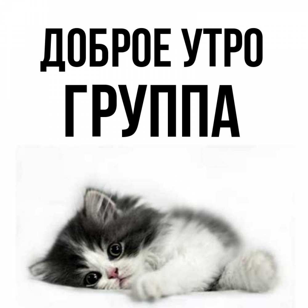 Открытка на каждый день с именем, Группа Доброе утро кот лапки Прикольная открытка с пожеланием онлайн скачать бесплатно 