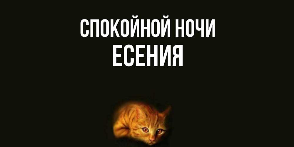 Открытка на каждый день с именем, Есения Спокойной ночи кот Прикольная открытка с пожеланием онлайн скачать бесплатно 