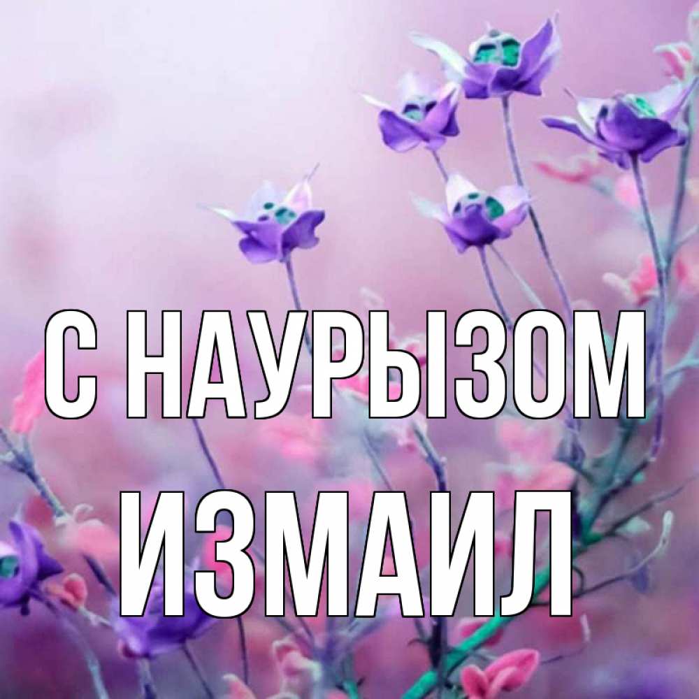 Открытка на каждый день с именем, Измаил С наурызом международный женский день 2 Прикольная открытка с пожеланием онлайн скачать бесплатно 