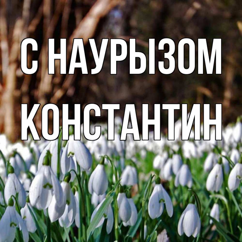 Открытка на каждый день с именем, Константин С наурызом с подснежниками 1 Прикольная открытка с пожеланием онлайн скачать бесплатно 