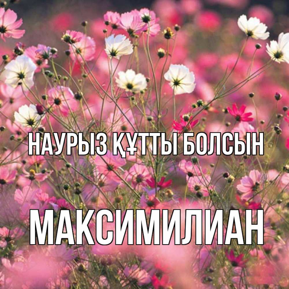 Открытка на каждый день с именем, Максимилиан Наурыз құтты болсын красиво 1 Прикольная открытка с пожеланием онлайн скачать бесплатно 