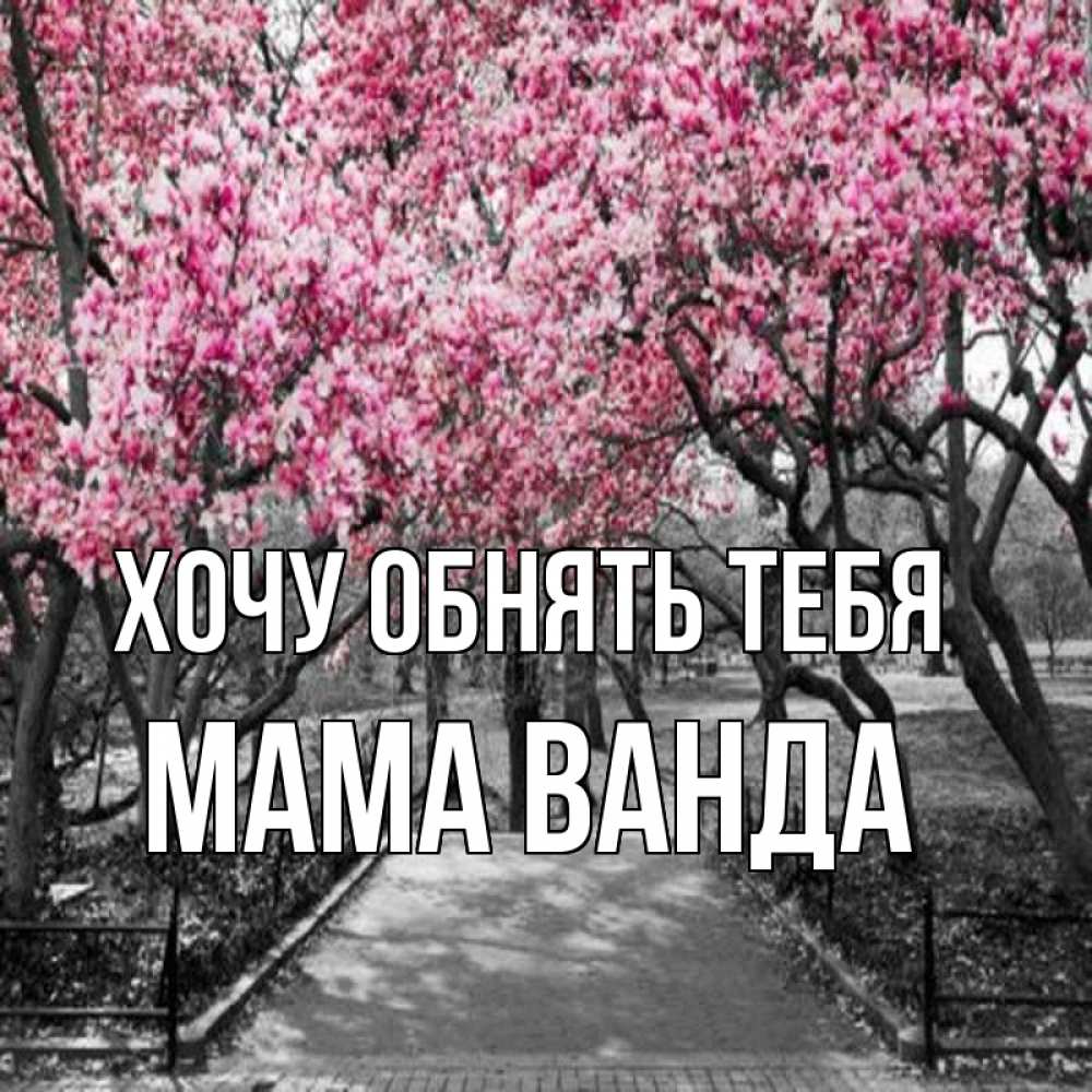 Открытка на каждый день с именем, Мама-Ванда Хочу обнять тебя обработанное фото Прикольная открытка с пожеланием онлайн скачать бесплатно 