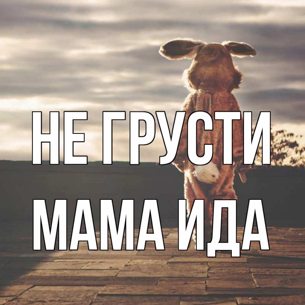 Открытка на каждый день с именем, Мама-Ида Не грусти со спины Прикольная открытка с пожеланием онлайн скачать бесплатно 