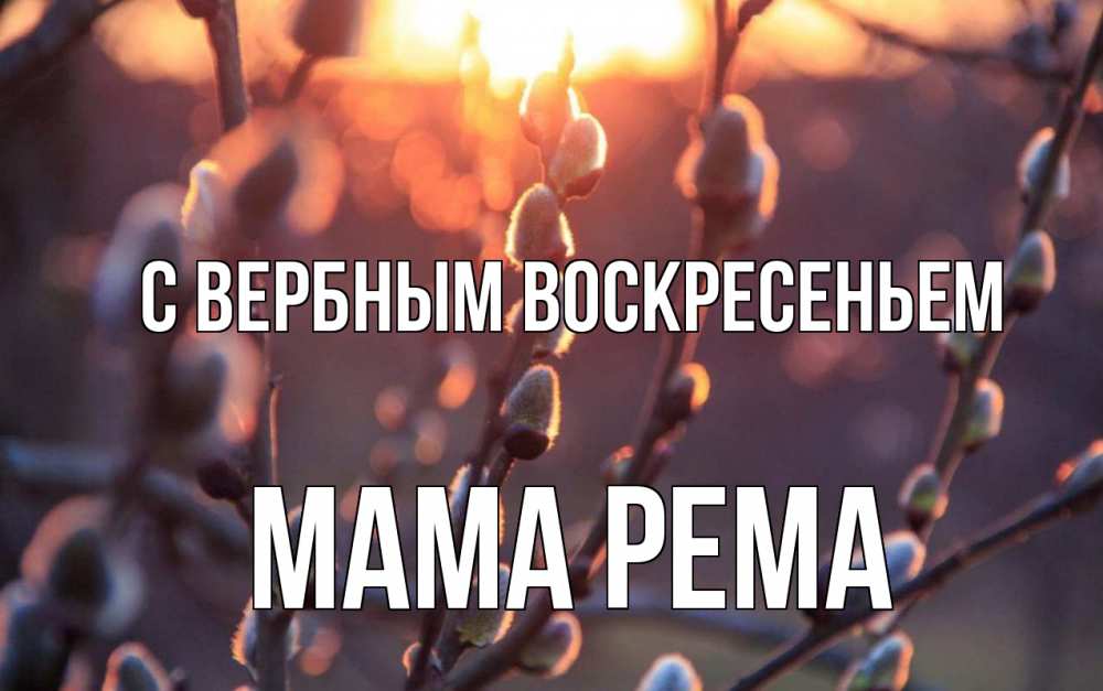 Открытка на каждый день с именем, Мама-Рема С вербным воскресеньем верба Прикольная открытка с пожеланием онлайн скачать бесплатно 