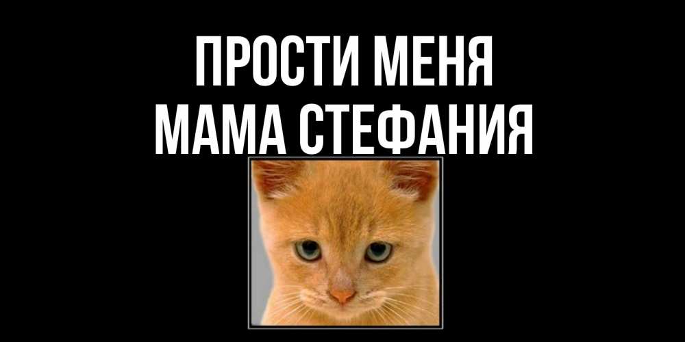 Открытка на каждый день с именем, Мама-Стефания Прости меня рыжий грустный кот просит прощения Прикольная открытка с пожеланием онлайн скачать бесплатно 