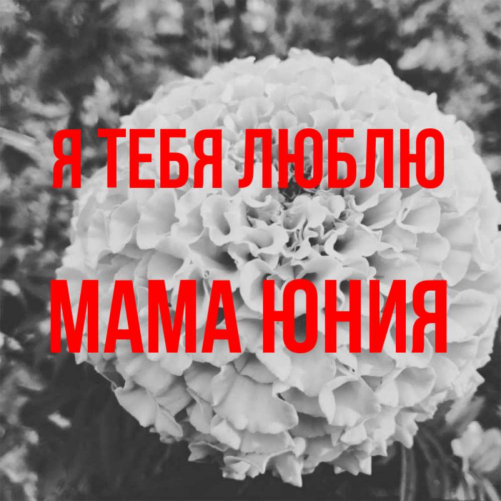 Открытка на каждый день с именем, Мама-Юния Я тебя люблю подпись Прикольная открытка с пожеланием онлайн скачать бесплатно 