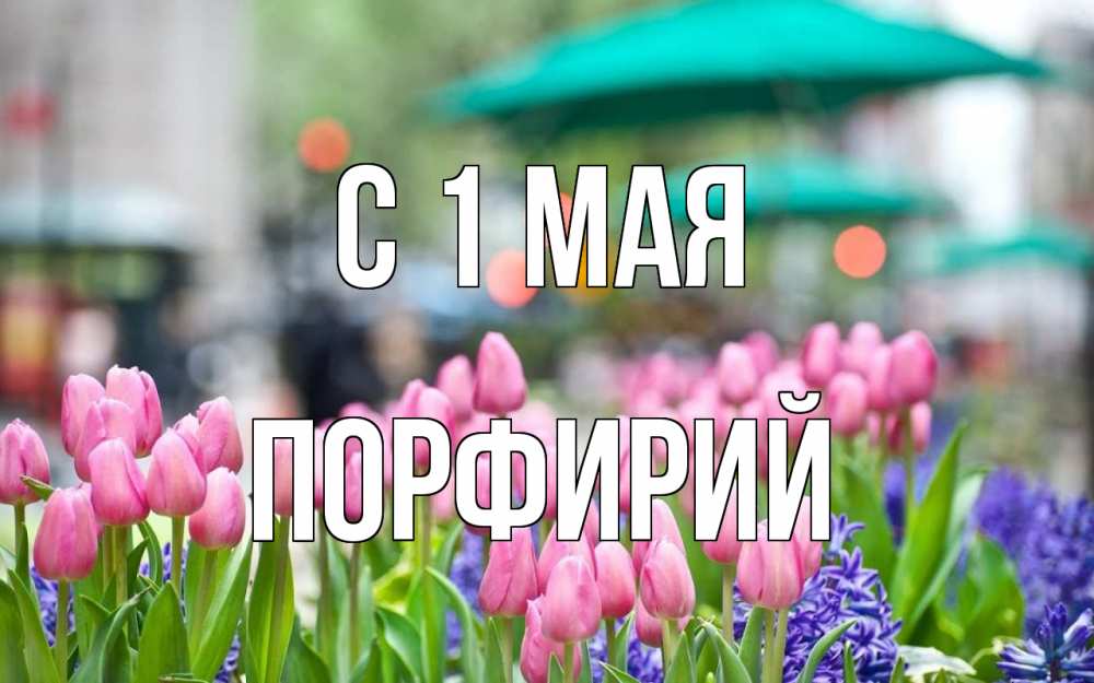 Открытка на каждый день с именем, Порфирий С 1 мая С 1 мая Прикольная открытка с пожеланием онлайн скачать бесплатно 