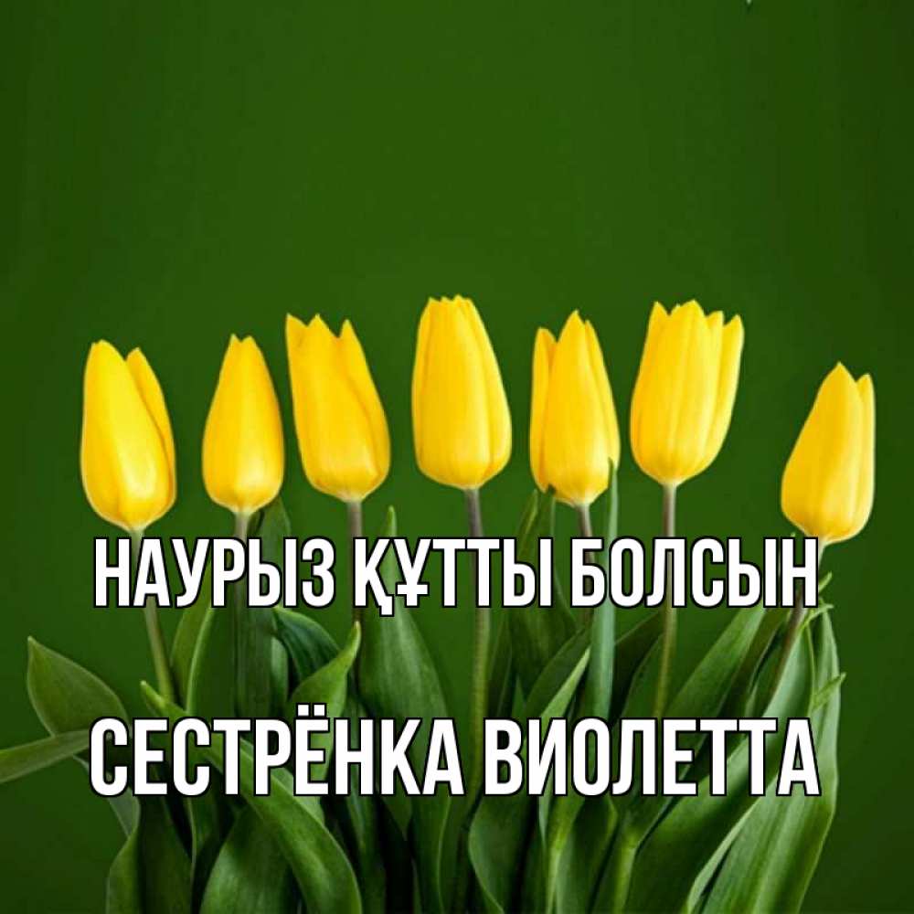 Открытка на каждый день с именем, Сестрёнка-Виолетта Наурыз құтты болсын желтого цвета 3 Прикольная открытка с пожеланием онлайн скачать бесплатно 