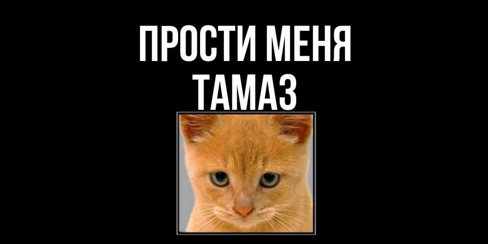 Открытка на каждый день с именем, Тамаз Прости меня рыжий грустный кот просит прощения Прикольная открытка с пожеланием онлайн скачать бесплатно 