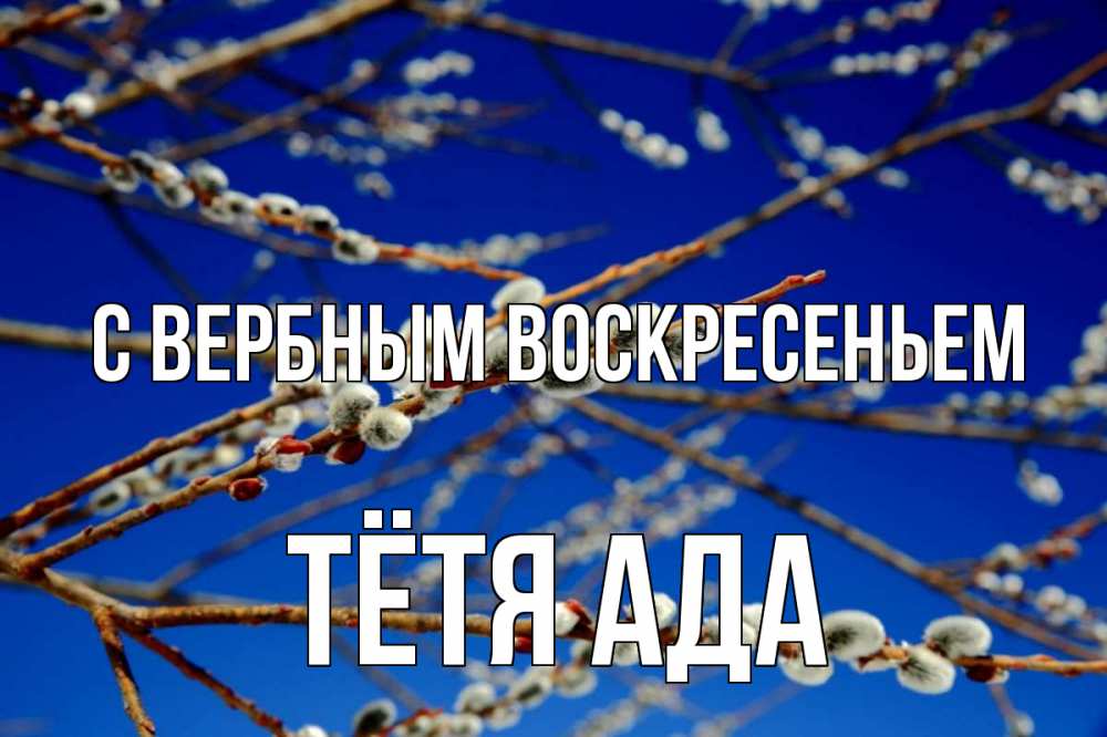 Открытка на каждый день с именем, Тётя-Ада С вербным воскресеньем верба Прикольная открытка с пожеланием онлайн скачать бесплатно 