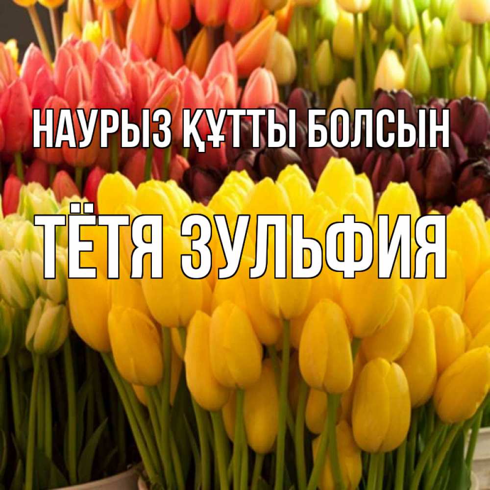 Открытка на каждый день с именем, Тётя-Зульфия Наурыз құтты болсын цветы Прикольная открытка с пожеланием онлайн скачать бесплатно 