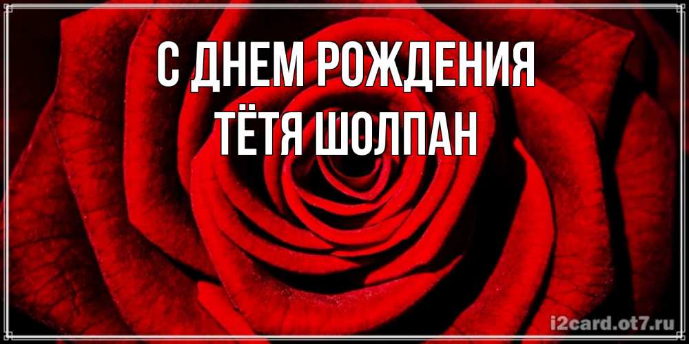 Открытка на каждый день с именем, Тётя-Шолпан С днем рождения алая роза Прикольная открытка с пожеланием онлайн скачать бесплатно 