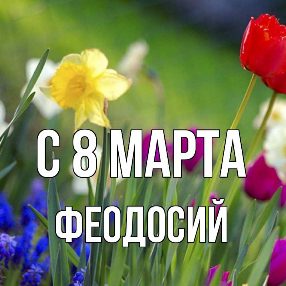Открытка на каждый день с именем, Феодосий С 8 МАРТА международный женский день 3 Прикольная открытка с пожеланием онлайн скачать бесплатно 
