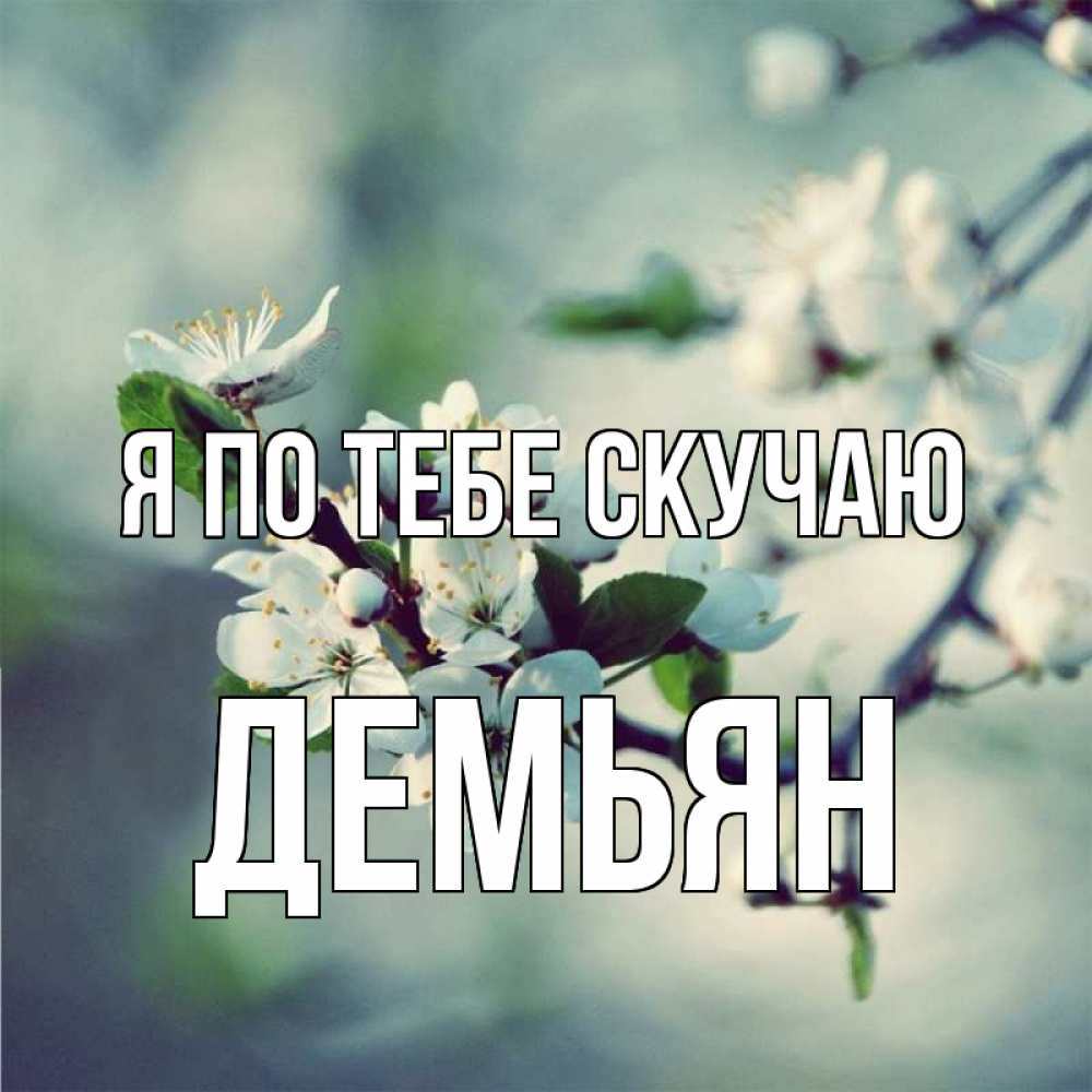 Открытка на каждый день с именем, Демьян Я по тебе скучаю весна Прикольная открытка с пожеланием онлайн скачать бесплатно 