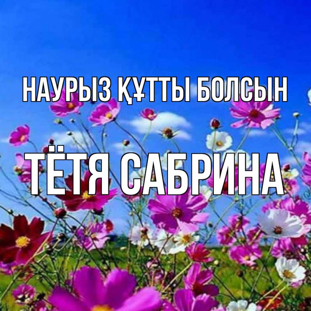 Открытка на каждый день с именем, Тётя-Сабрина Наурыз құтты болсын цветы Прикольная открытка с пожеланием онлайн скачать бесплатно 