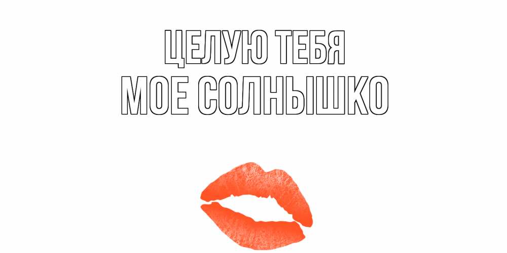 Открытки целую тебя солнышко, ватсап андроид