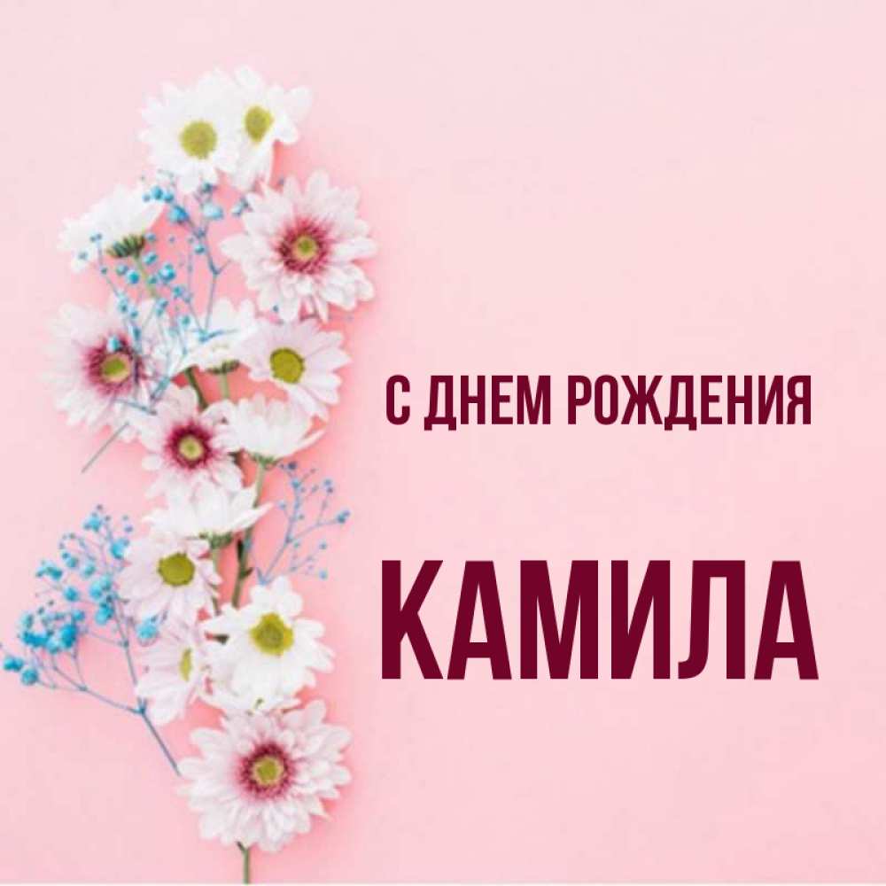 С днем рождения камила картинки