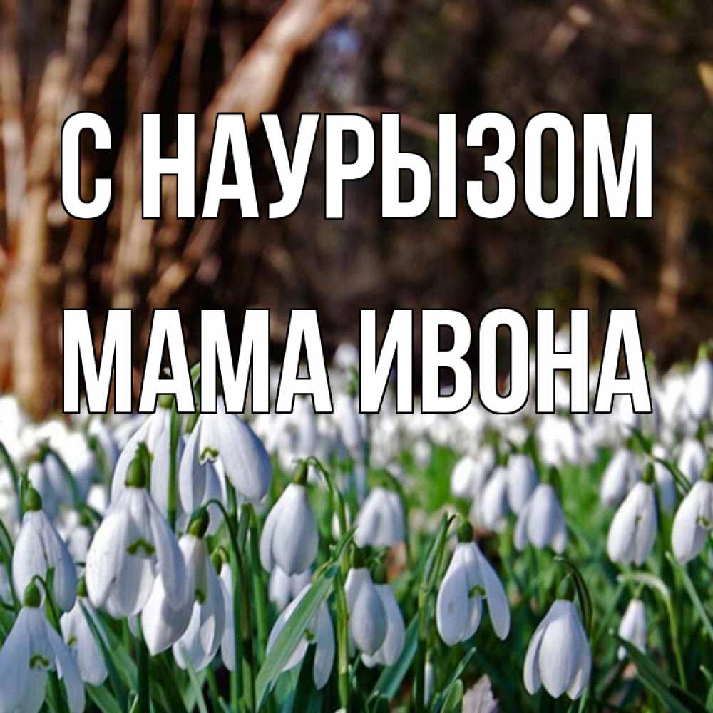 Открытка на каждый день с именем, Мама-Ивона С наурызом с подснежниками 1 Прикольная открытка с пожеланием онлайн скачать бесплатно 