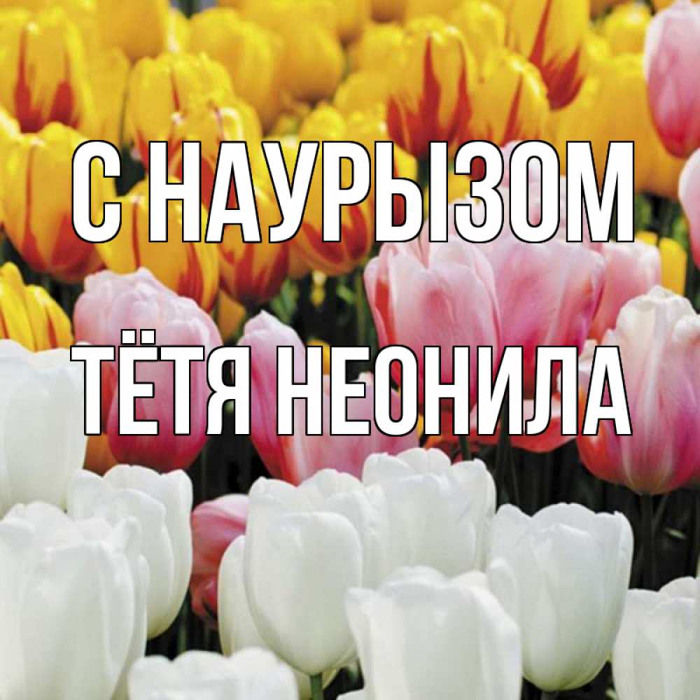 Открытка на каждый день с именем, Тётя-Неонила С наурызом разноцветные цветы Прикольная открытка с пожеланием онлайн скачать бесплатно 