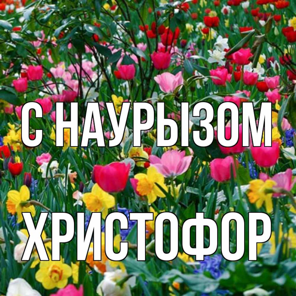 Открытка на каждый день с именем, Христофор С наурызом с наурызом праздником весны поздравления для женщины Прикольная открытка с пожеланием онлайн скачать бесплатно 
