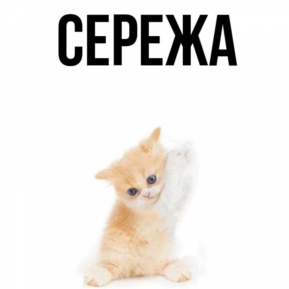 Имя сережа. Картинки с именем Сережа. Обои на айфон именем Сережа.