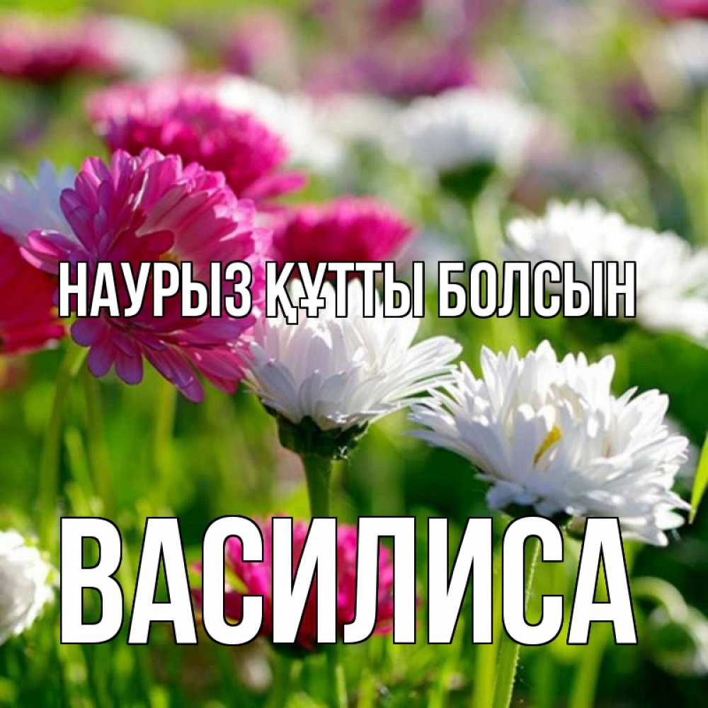Открытка на каждый день с именем, Василиса Наурыз құтты болсын наурыз Прикольная открытка с пожеланием онлайн скачать бесплатно 