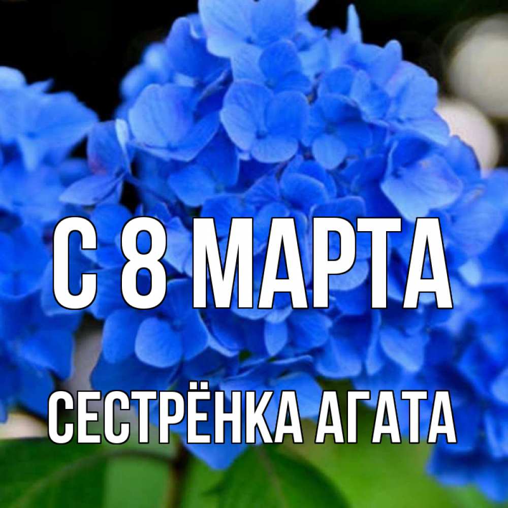 Открытка на каждый день с именем, Сестрёнка-Агата С 8 МАРТА синие цветы Прикольная открытка с пожеланием онлайн скачать бесплатно 