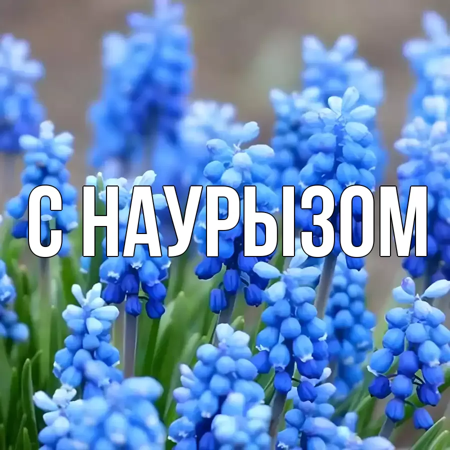 Картинка Наурыз құтты болсын, 