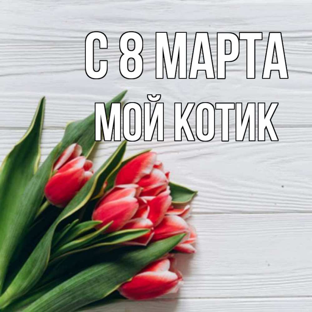 Открытка на каждый день с именем, мой-Котик С 8 МАРТА весна 2 Прикольная открытка с пожеланием онлайн скачать бесплатно 
