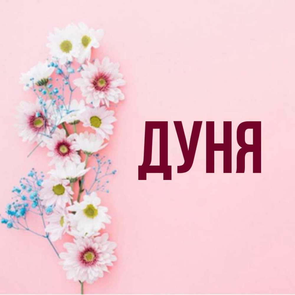 Не распроданные игрушки уценили дуня не лишена