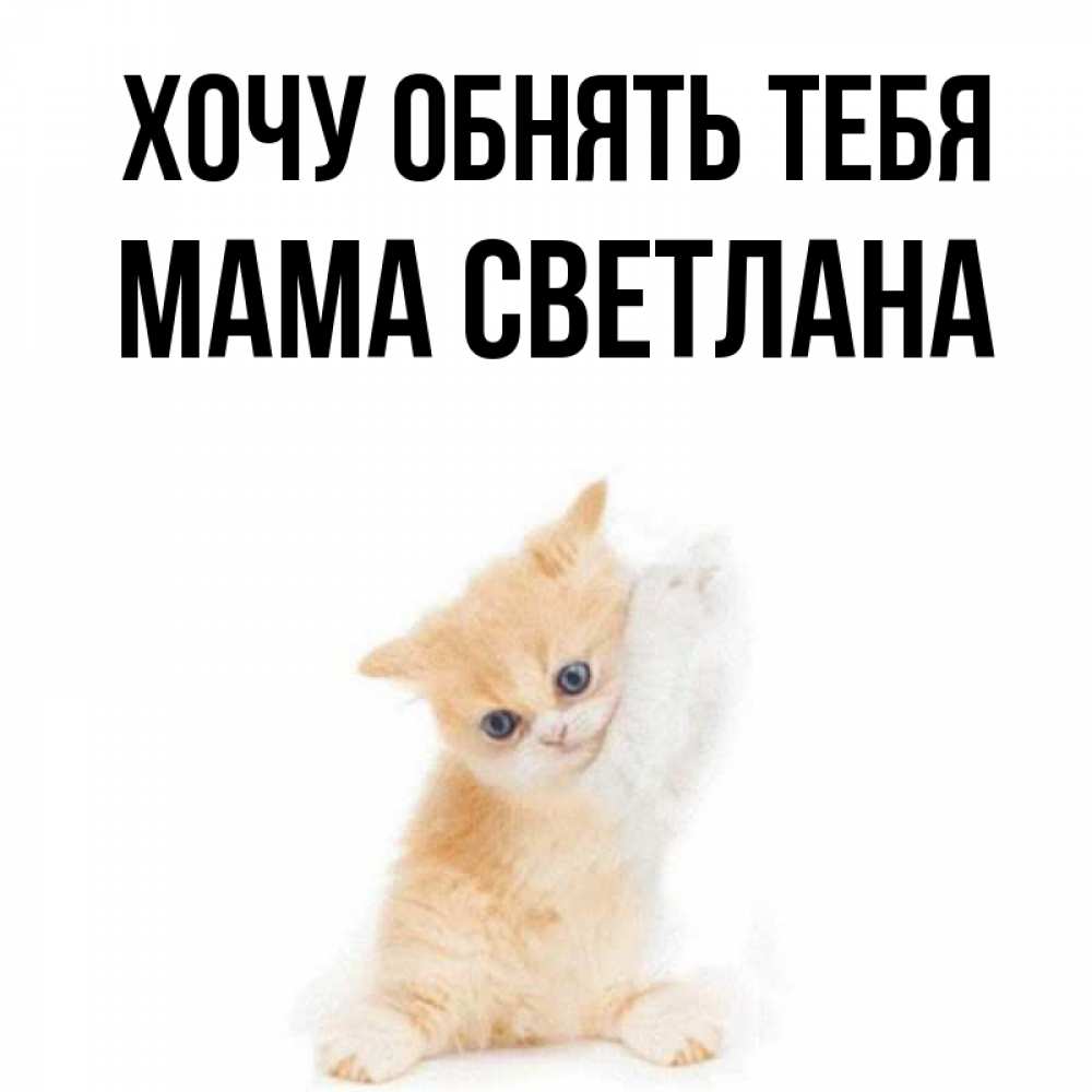 Хочу светлану