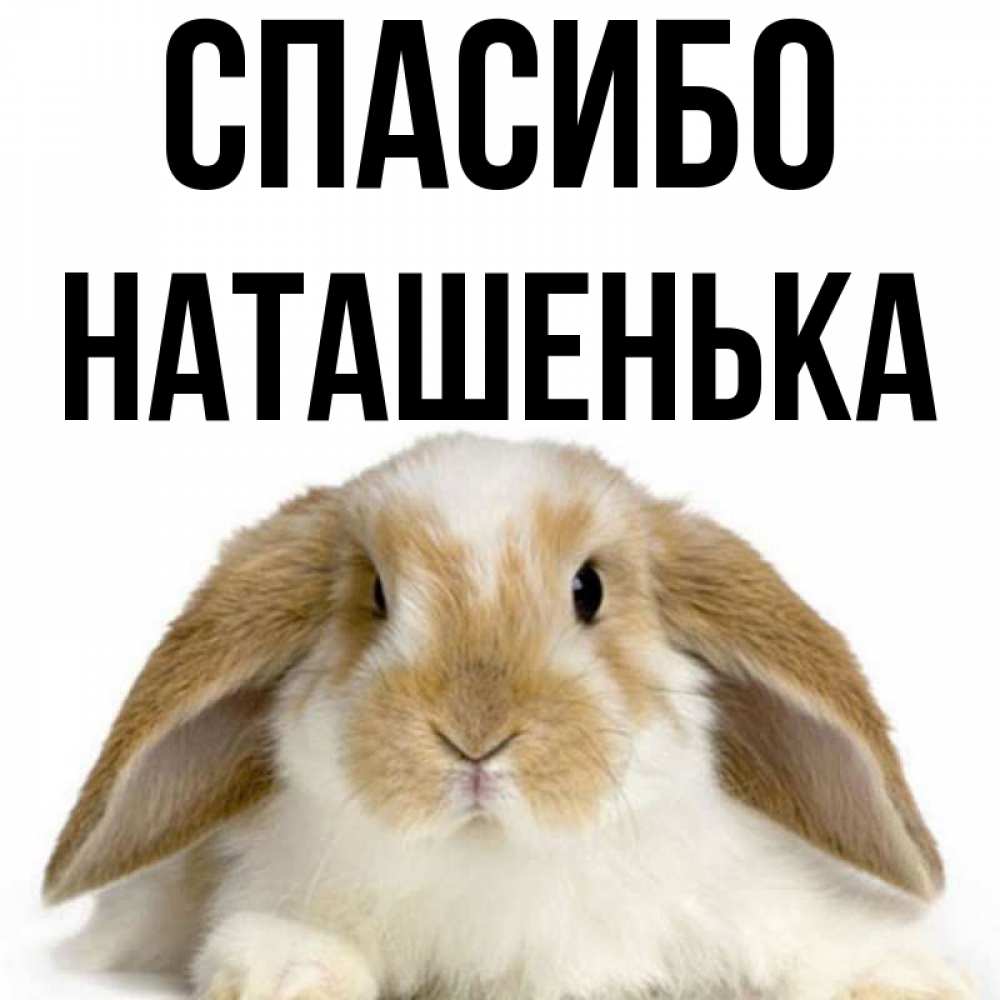 Спасибо Наташенька
