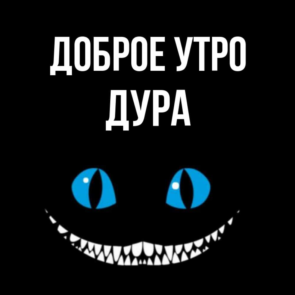 Утро дура. Чеширский кот с добрым утром. С добрым утром Саша. Доброе утро Саша картинки. ВКОНТАКТЕ доброе утро Саша.