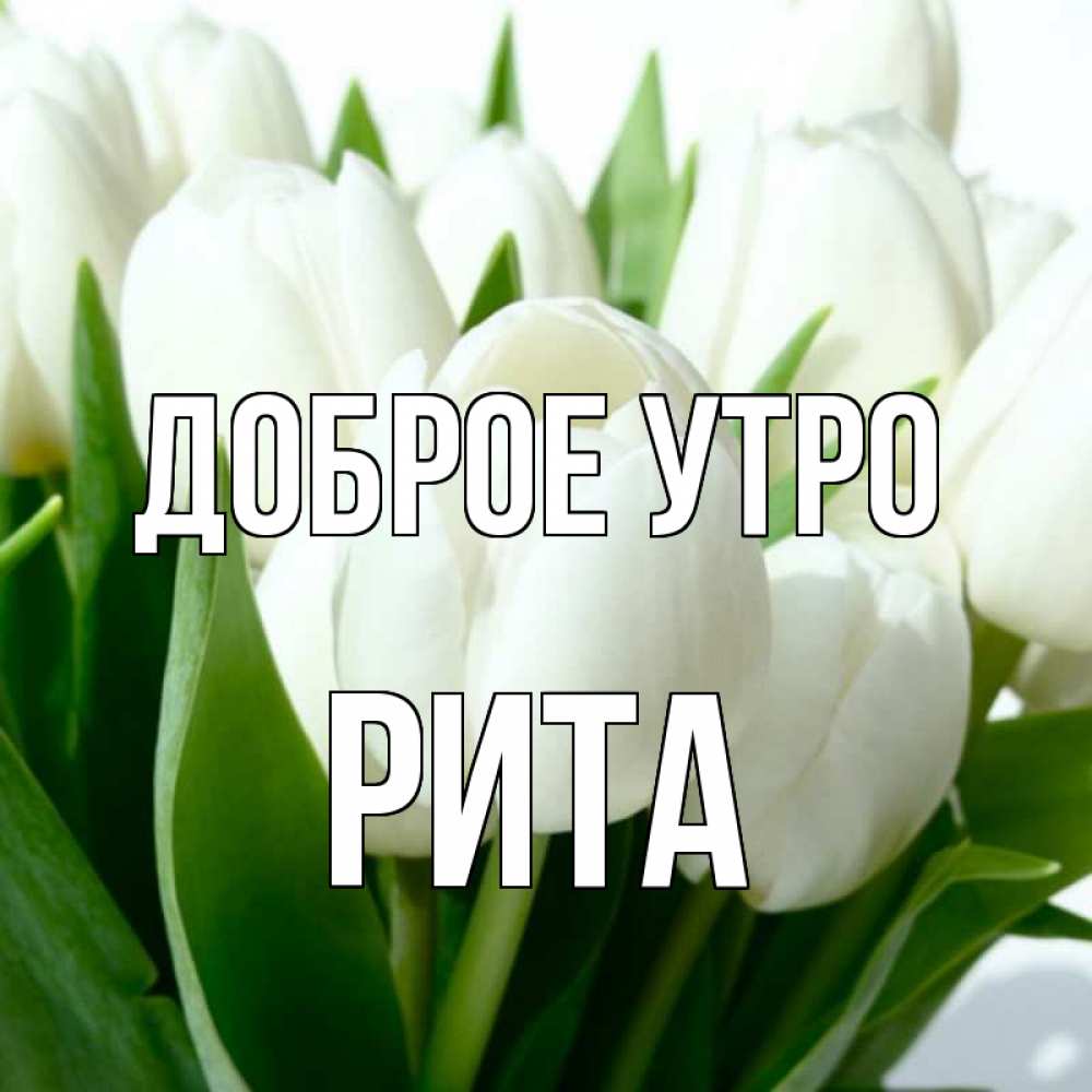 Доброе утро рита прикольные картинки