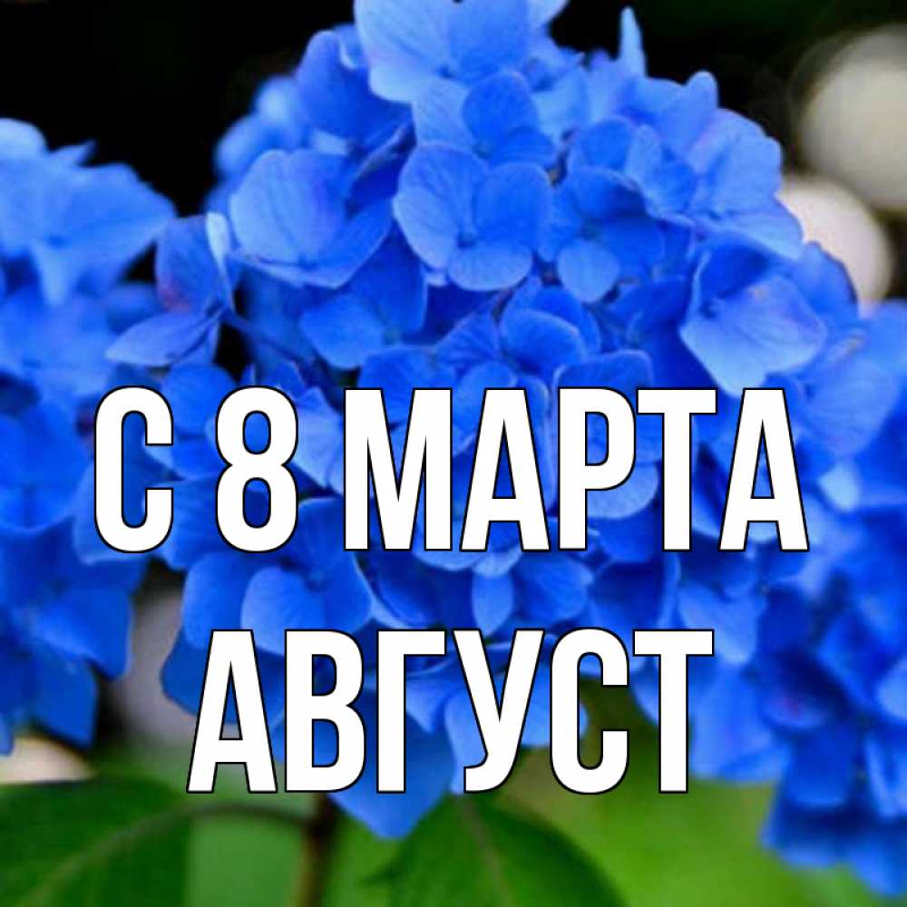 Открытка на каждый день с именем, Август С 8 МАРТА синие цветы Прикольная открытка с пожеланием онлайн скачать бесплатно 