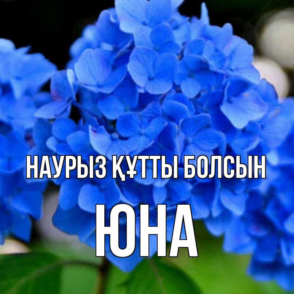 Открытка на каждый день с именем, Юна Наурыз құтты болсын синие цветы Прикольная открытка с пожеланием онлайн скачать бесплатно 