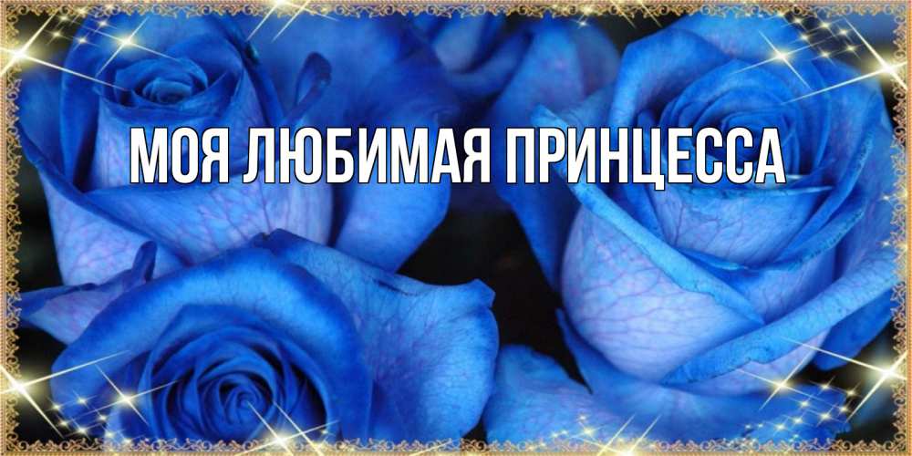 Открытка на каждый день с именем, Моя-Любимая-Принцесса Главная красивые розы для милых дам на международный праздник весны наурыз Прикольная открытка с пожеланием онлайн скачать бесплатно 