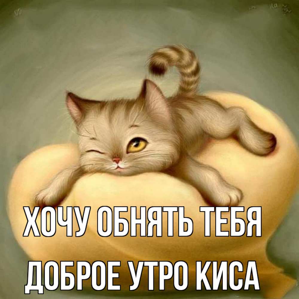 Открытки с добрым утром киса моя