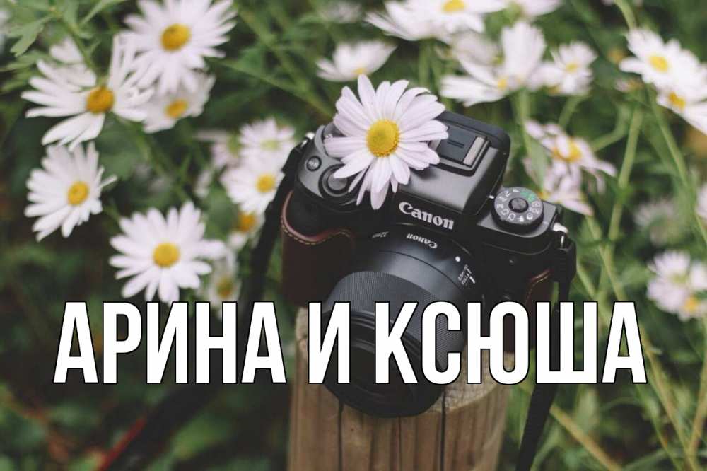 Открытка на каждый день с именем, Арина-и-Ксюша Главная с днем фотографа Прикольная открытка с пожеланием онлайн скачать бесплатно 