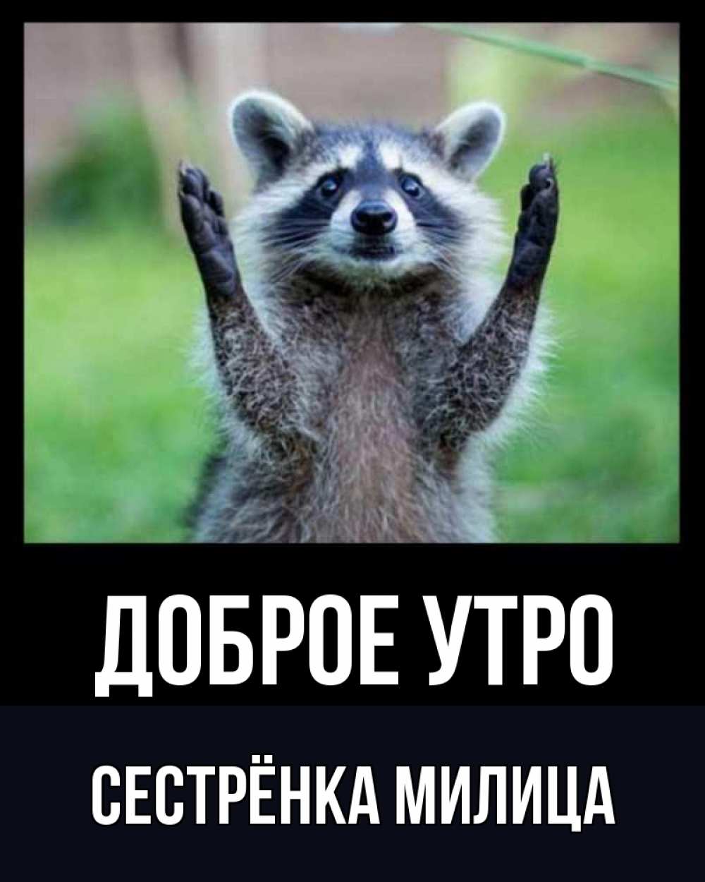 Открытка на каждый день с именем, Сестрёнка-Милица Доброе утро хорошее настроение утречком Прикольная открытка с пожеланием онлайн скачать бесплатно 
