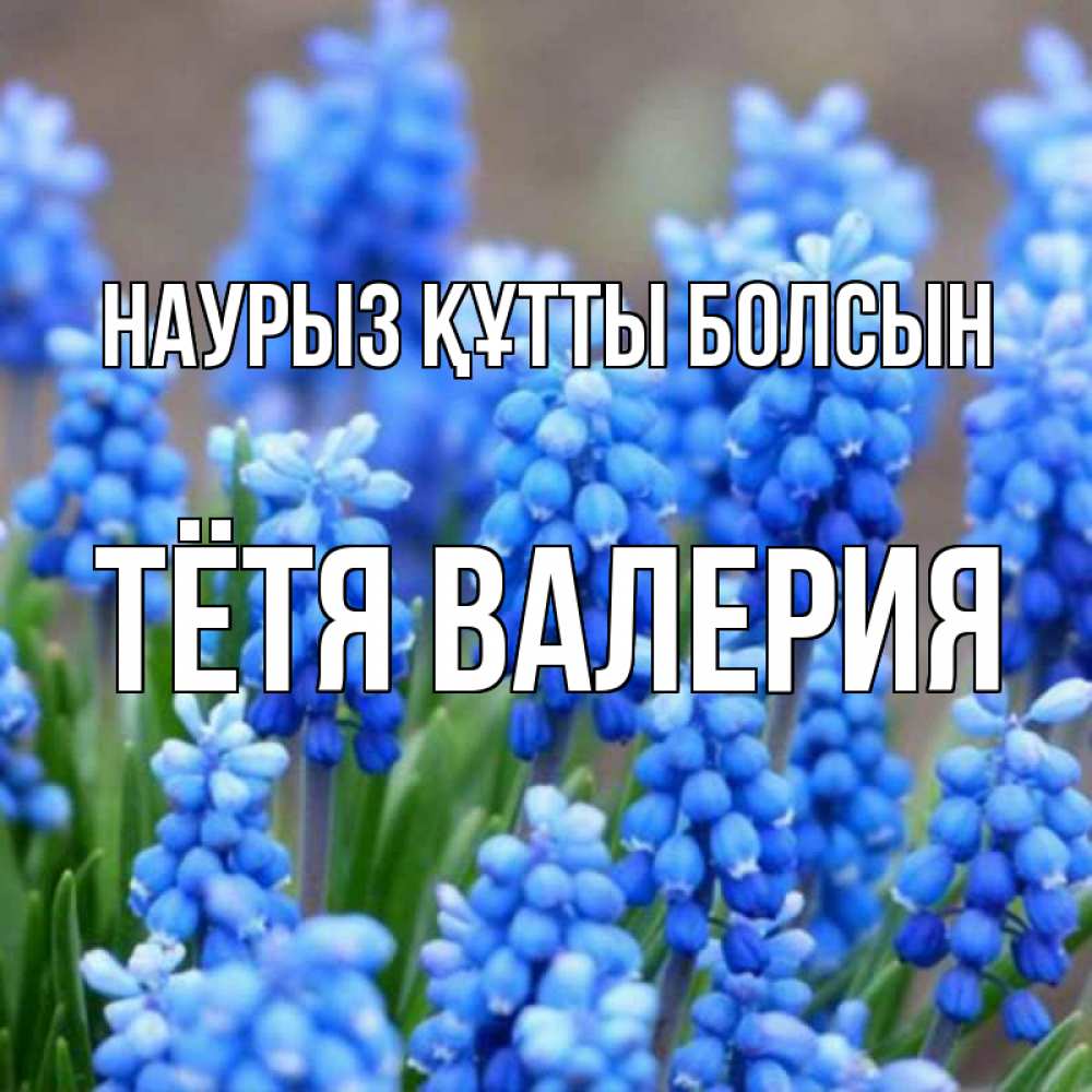 Открытка на каждый день с именем, Тётя-Валерия Наурыз құтты болсын Поздравительная открытка для женщин с цветами на праздничную дату Прикольная открытка с пожеланием онлайн скачать бесплатно 
