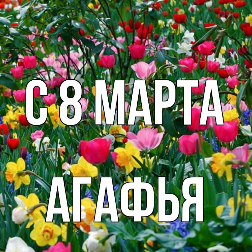 Открытка на каждый день с именем, Агафья С 8 МАРТА с международным женским днем поздравления для женщины Прикольная открытка с пожеланием онлайн скачать бесплатно 