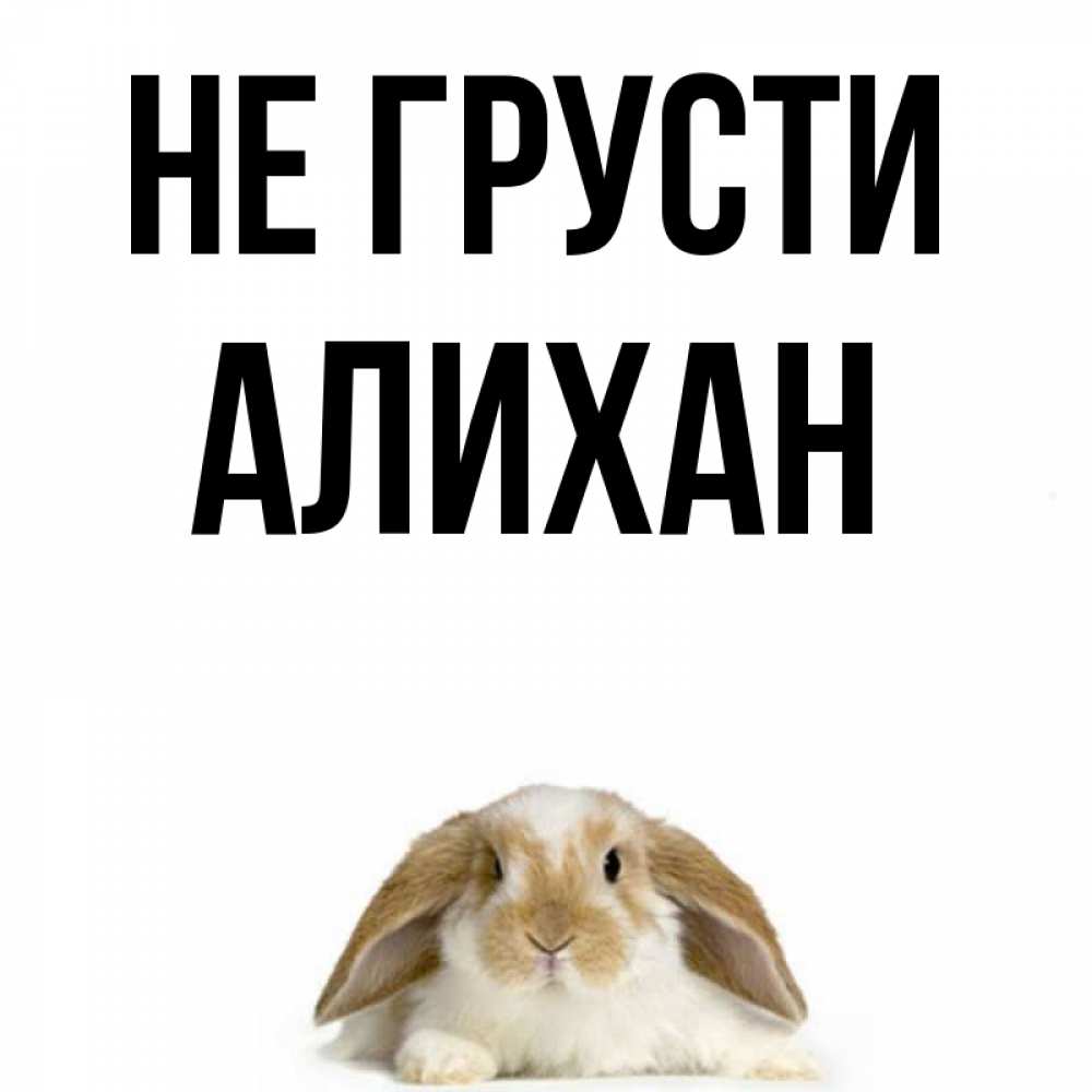 Открытка на каждый день с именем, Алихан Не грусти коричнево белый заяц с большими ушками Прикольная открытка с пожеланием онлайн скачать бесплатно 