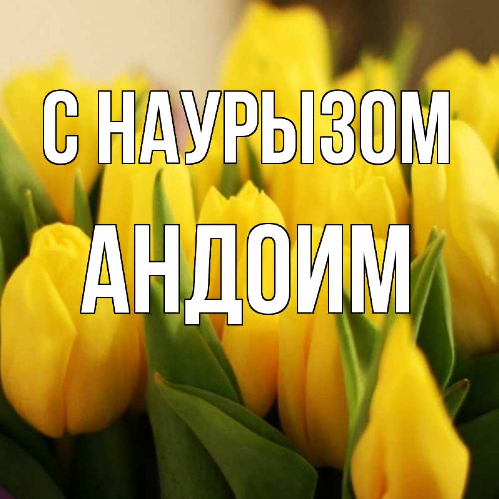 Открытка на каждый день с именем, Андоим С наурызом цветы Прикольная открытка с пожеланием онлайн скачать бесплатно 