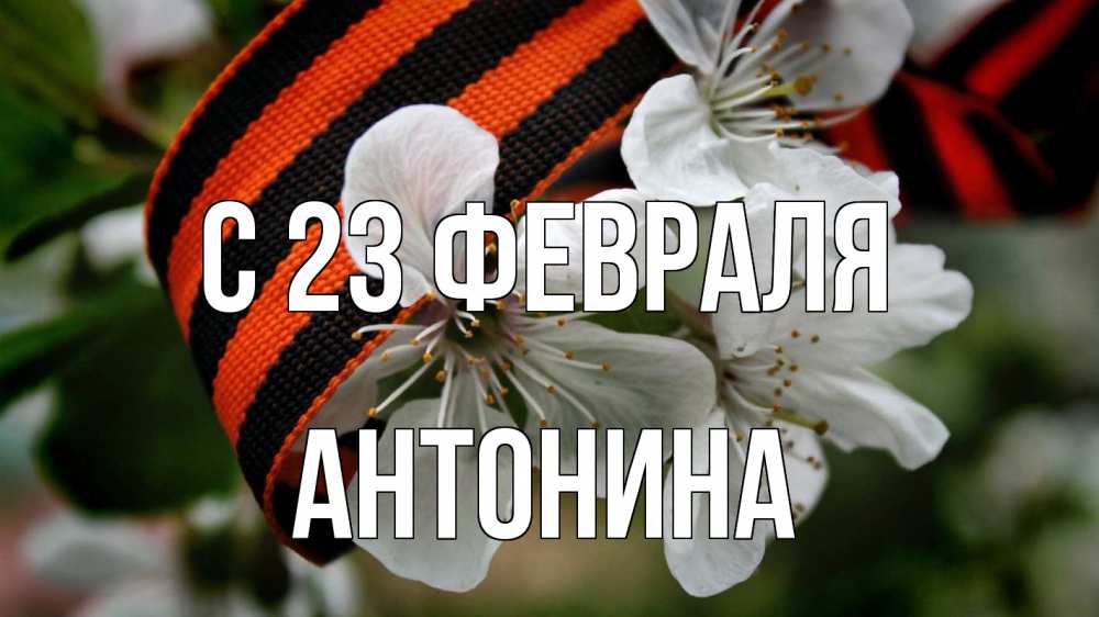 Открытка на каждый день с именем, Антонина С 23 февраля 23 февраля Прикольная открытка с пожеланием онлайн скачать бесплатно 
